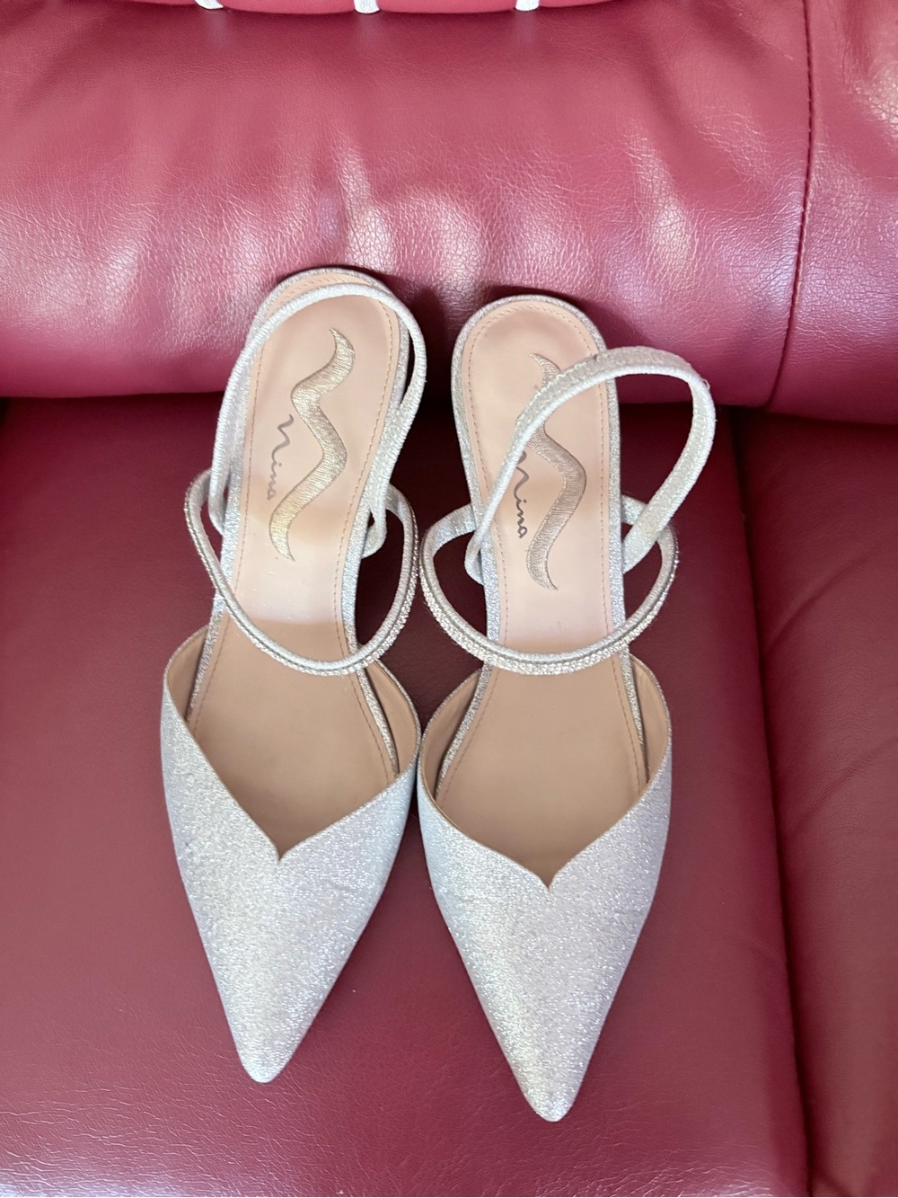 Nina Silver Glitter Pointed-Toe Slingback Heels
